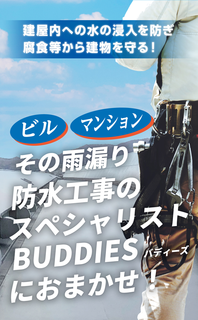 株式会社BUDDIES（バディーズ）